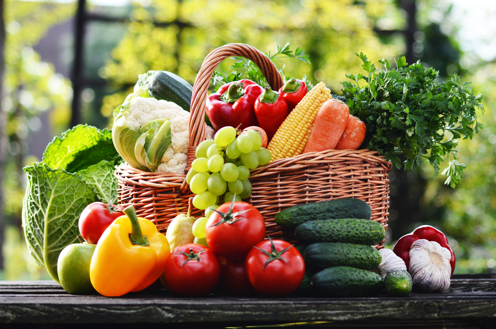 «Зима близко» или готовимся к сбору урожая - Agrobiz.net