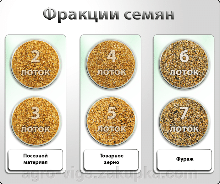 калібрування насіння